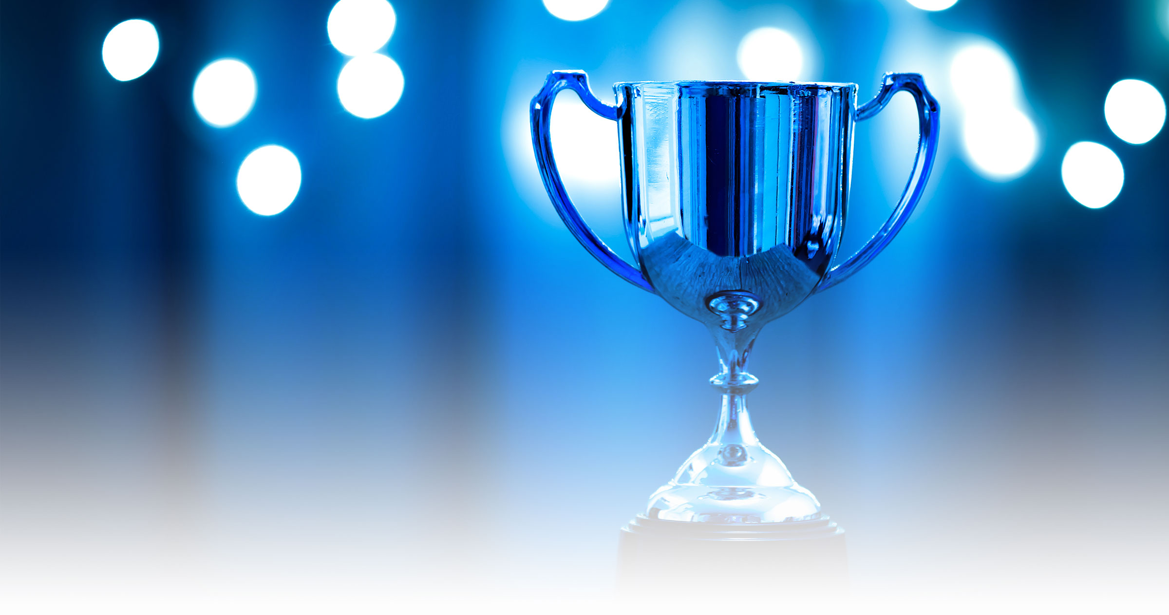 American Jewish Committee Lifetime Achievement Award
